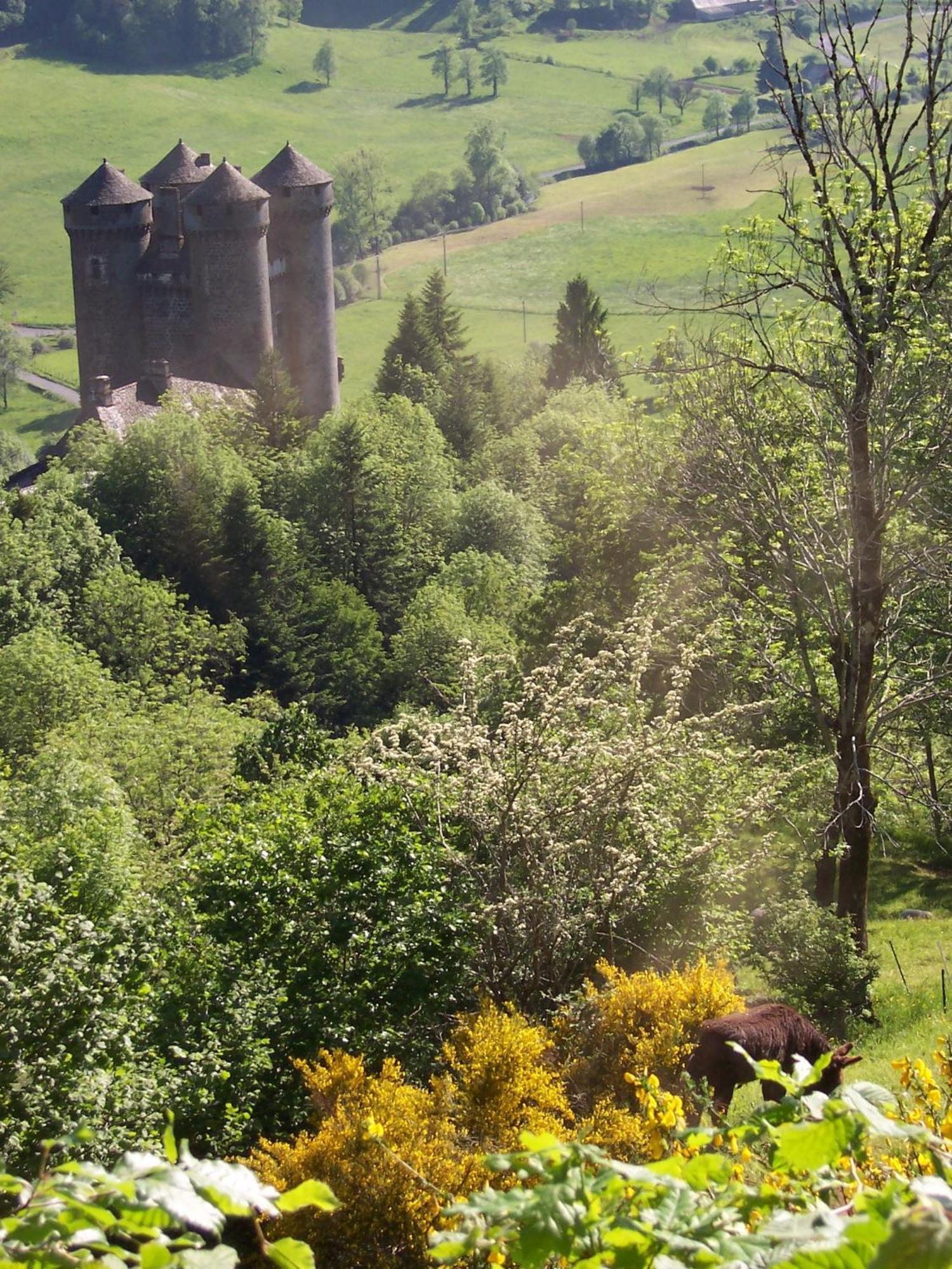 Auberge Hotel De Tournemire - Cantal المظهر الخارجي الصورة