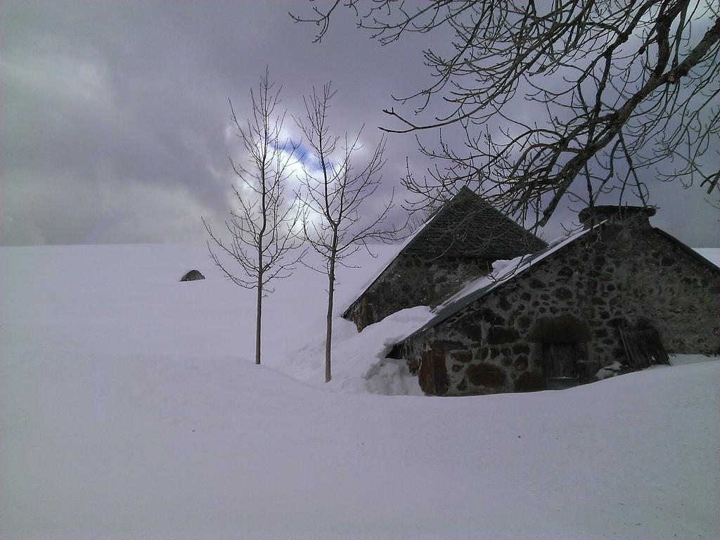 Auberge Hotel De Tournemire - Cantal المظهر الخارجي الصورة