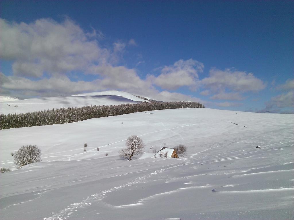 Auberge Hotel De Tournemire - Cantal المظهر الخارجي الصورة
